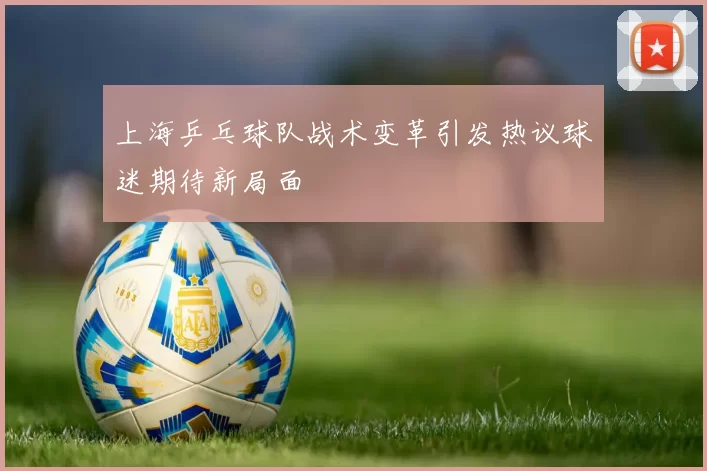 上海乒乓球队战术变革引发热议球迷期待新局面